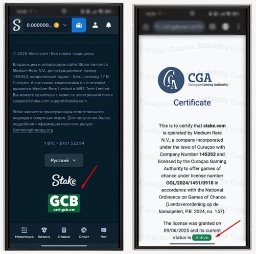 Лицензия Stake Casino