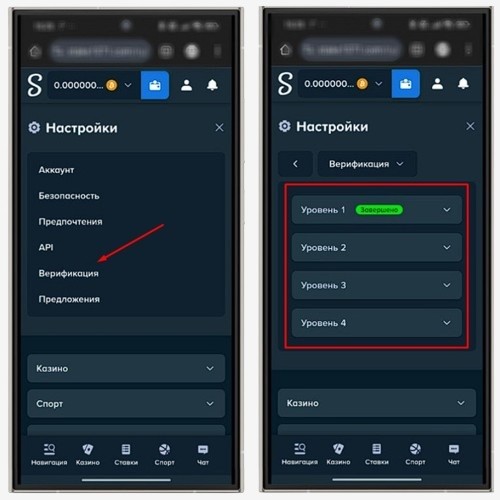 Верификация в Stake Casino