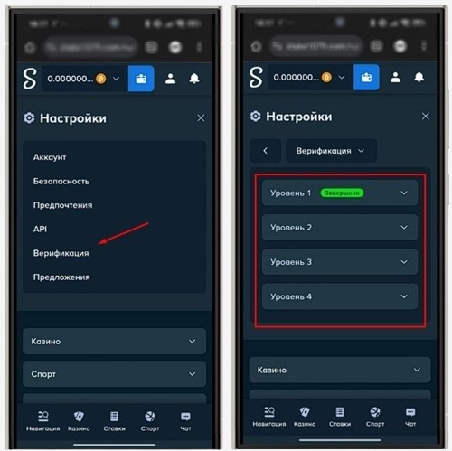 Верификация в Stake Casino